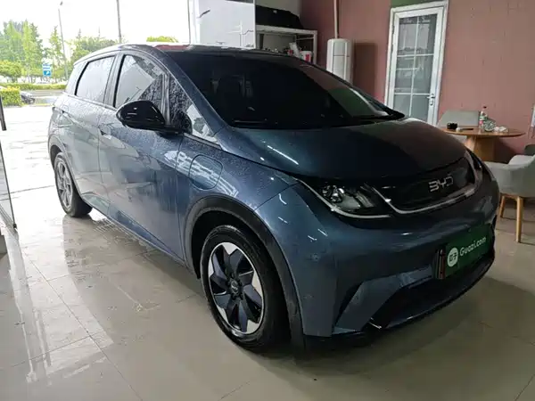 BYD Dolphin 2024