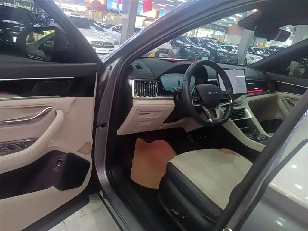 BYD PLUS New Energy 2023 — фото 16