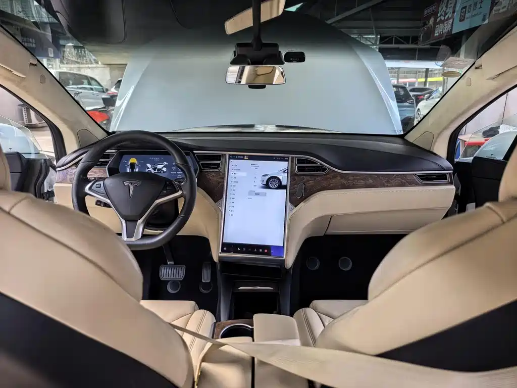 Tesla Model X 2017 — фото 8