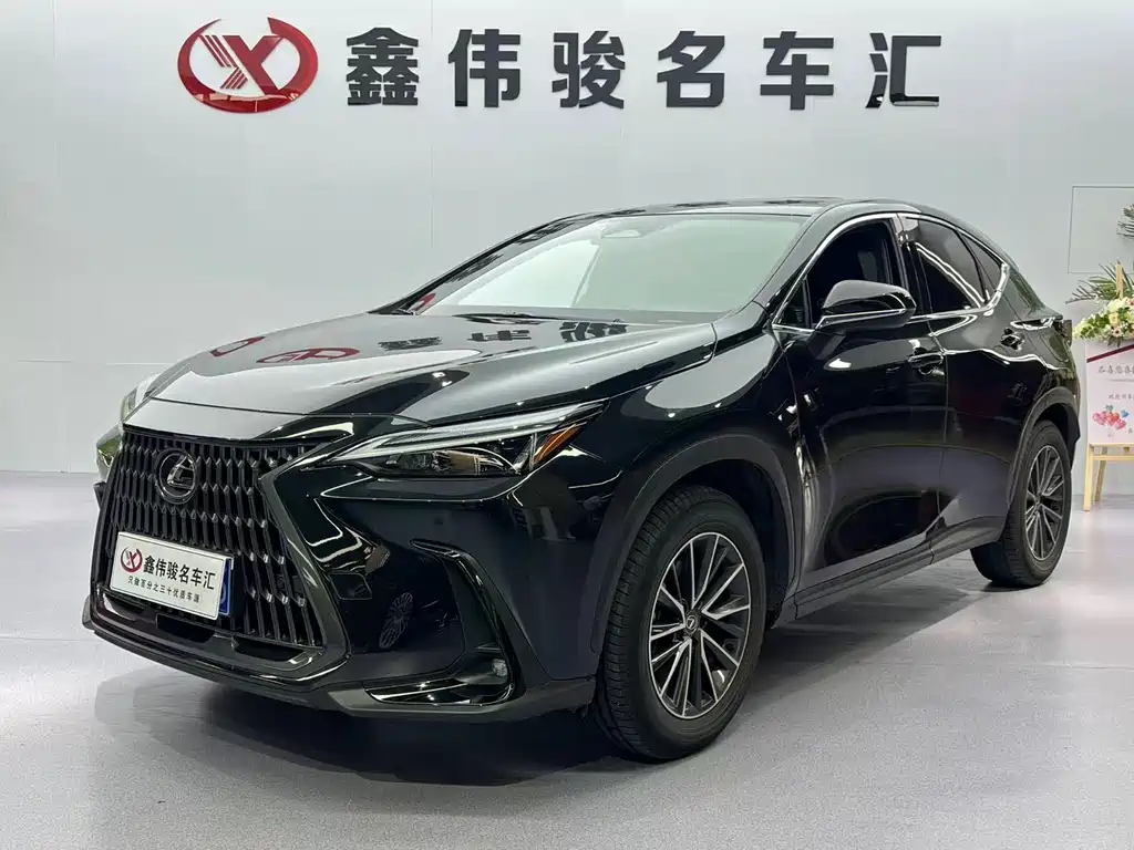 Lexus NX 2024 — фото 2