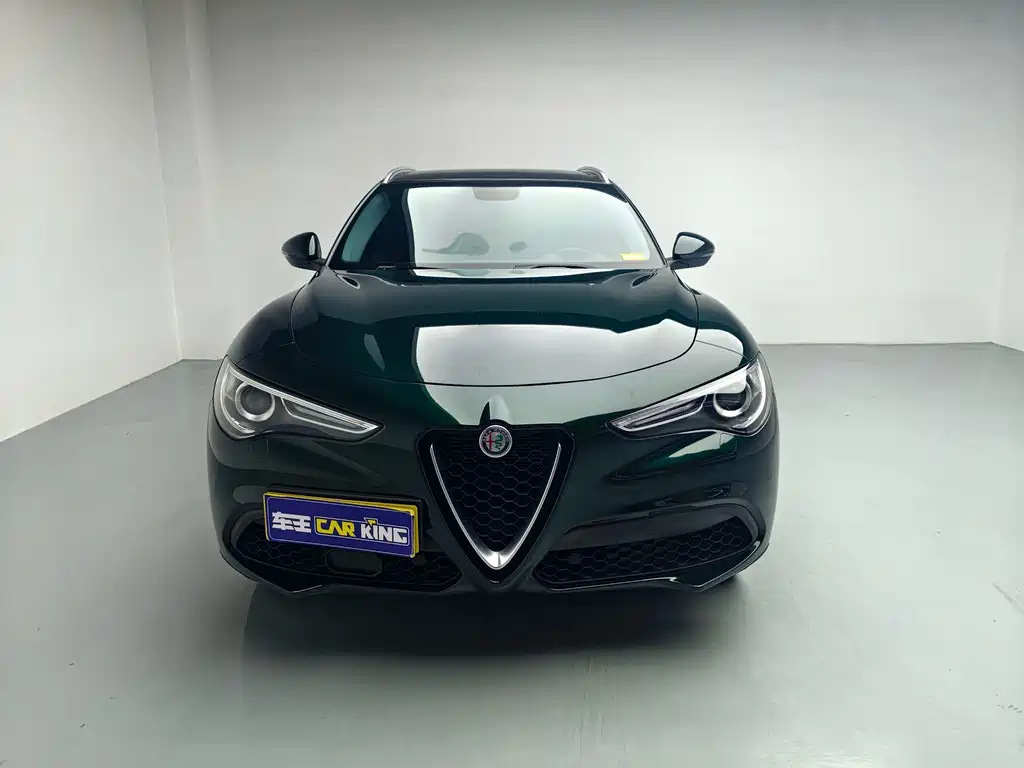 Alfa Romeo Stelvio 2021 — фото 2