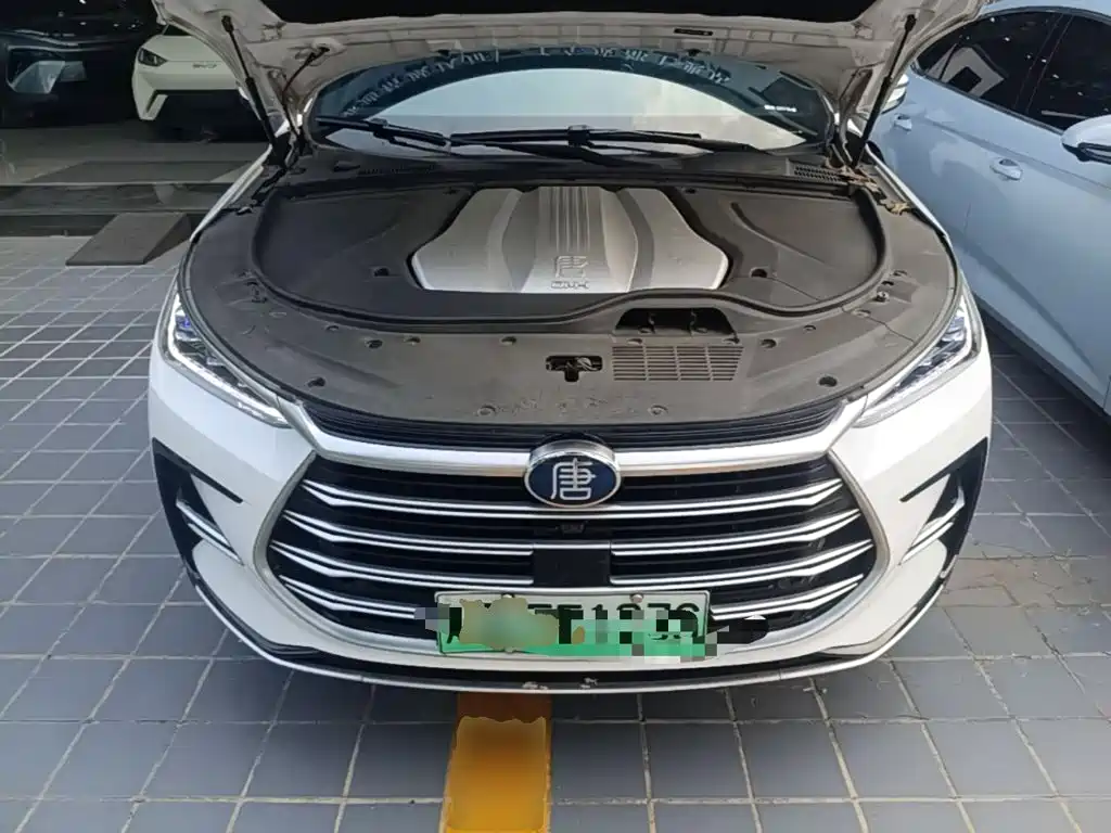 BYD Tang New Energy 2022 — фото 20