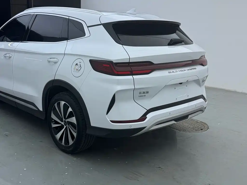 BYD PLUS New Energy 2024 — фото 9