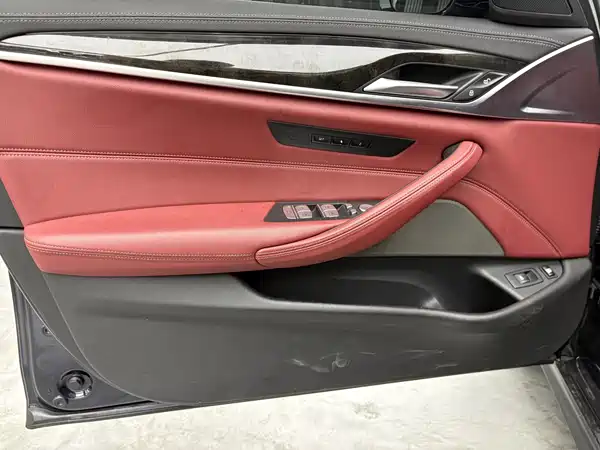 BMW 5 Series New Energy 2022