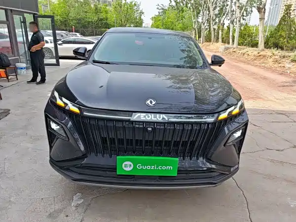 Dongfeng Haoji 2025