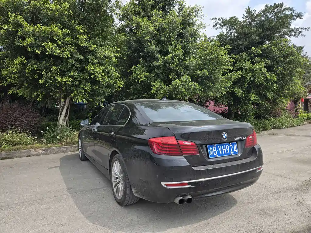BMW 5 Series 2015