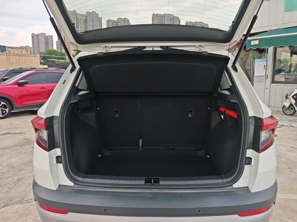Skoda Karoq 2020 — фото 19
