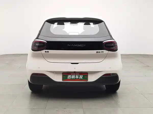 Dongfeng Nano 01 2024