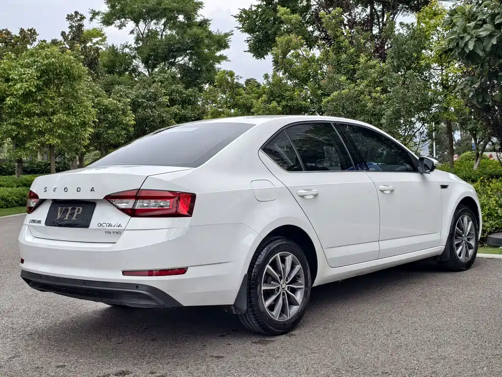 Skoda Octavia 2019 — фото 19