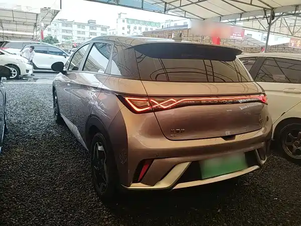 BYD Dolphin 2022