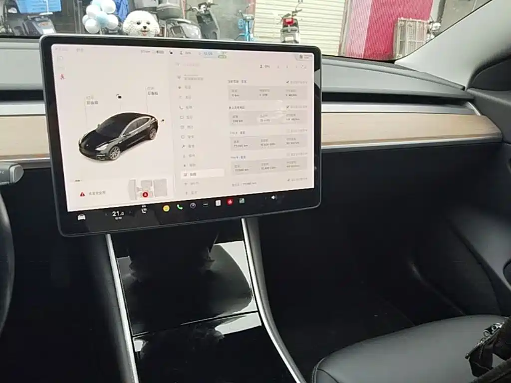 Tesla Model 3 2019 — фото 10