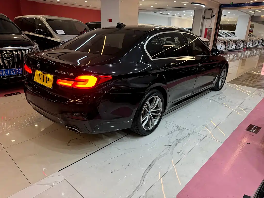 BMW 5 Series 2018 — фото 15