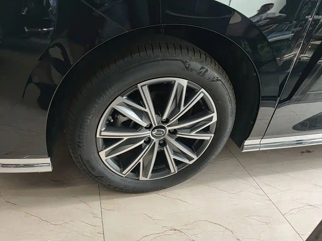 GAC Trumpchi M8 2025 — фото 23