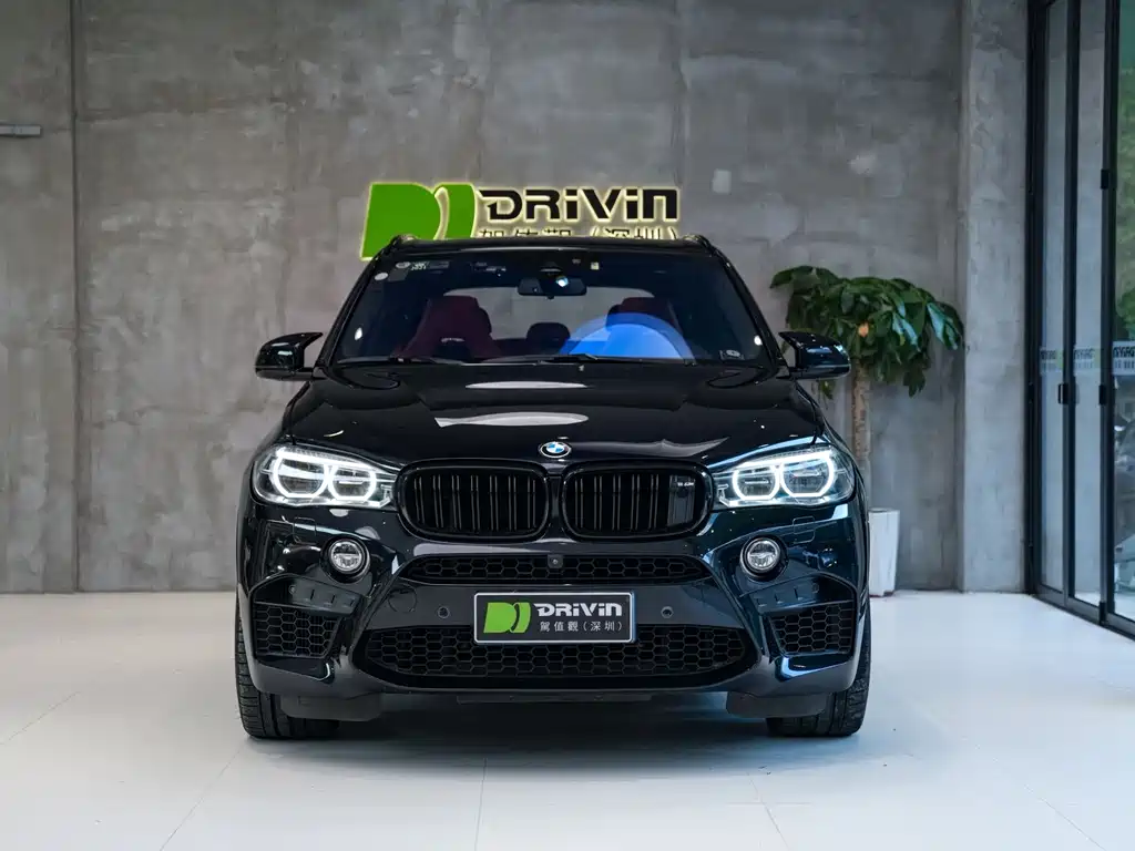 BMW X5 M 2017 — фото 3