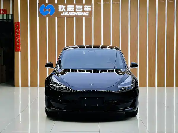 Tesla Model 3 2020