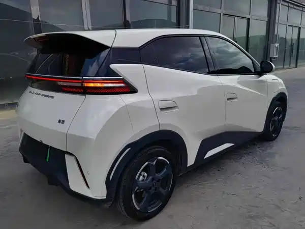 BYD Seagull 2024