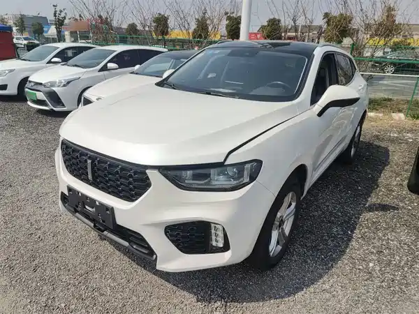 Wey VV5 2019