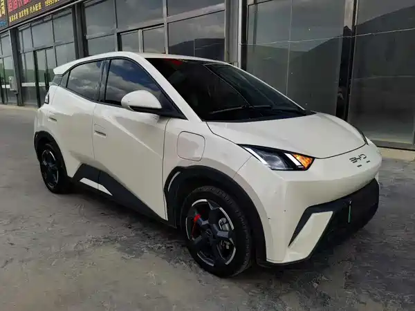 BYD Seagull 2024