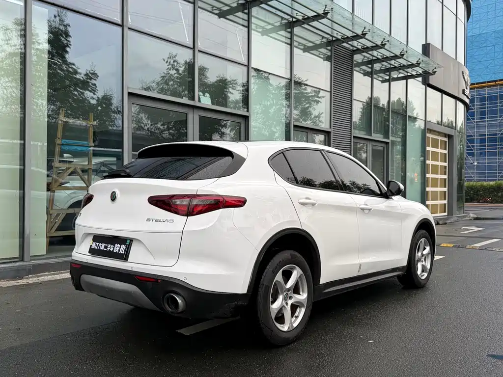 Alfa Romeo Stelvio 2019 — фото 13