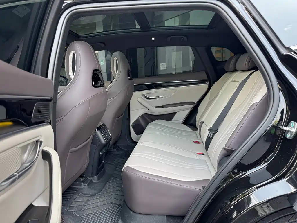 BYD Song PLUS New Energy 2025 — фото 9