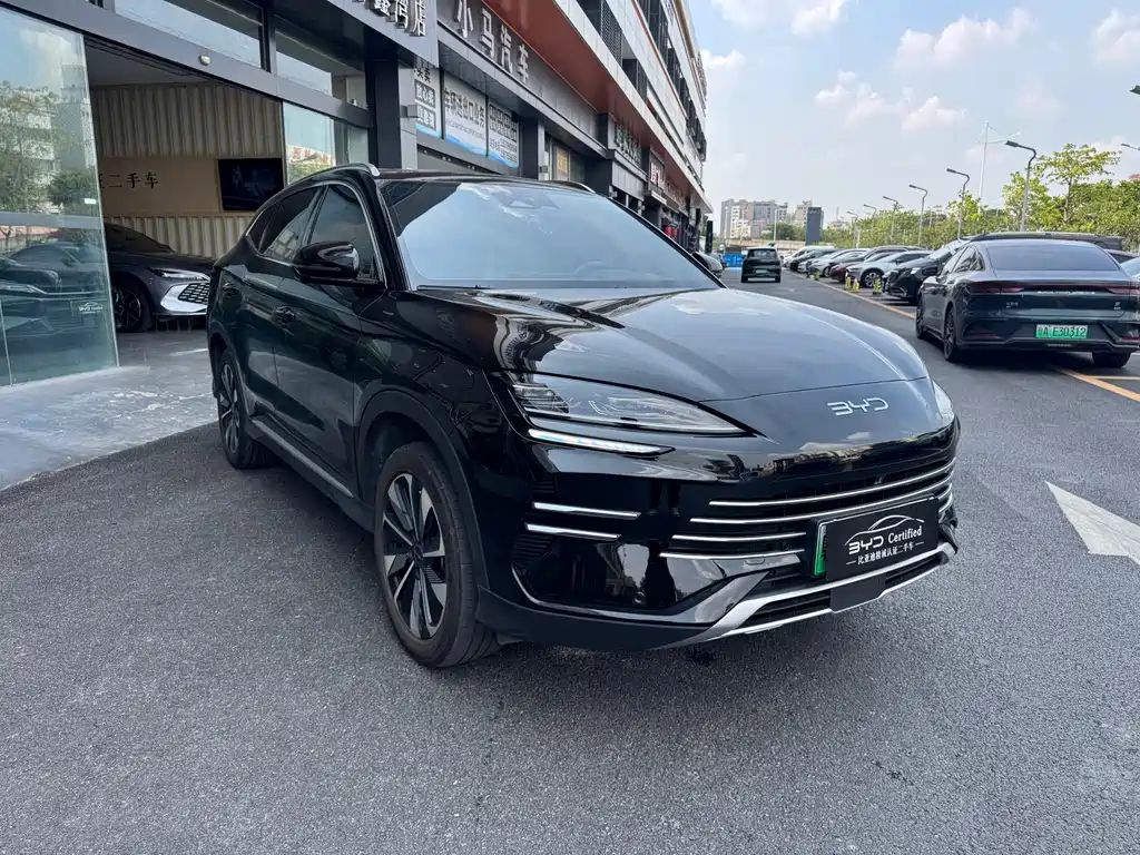 BYD Song PLUS New Energy 2025 — фото 2