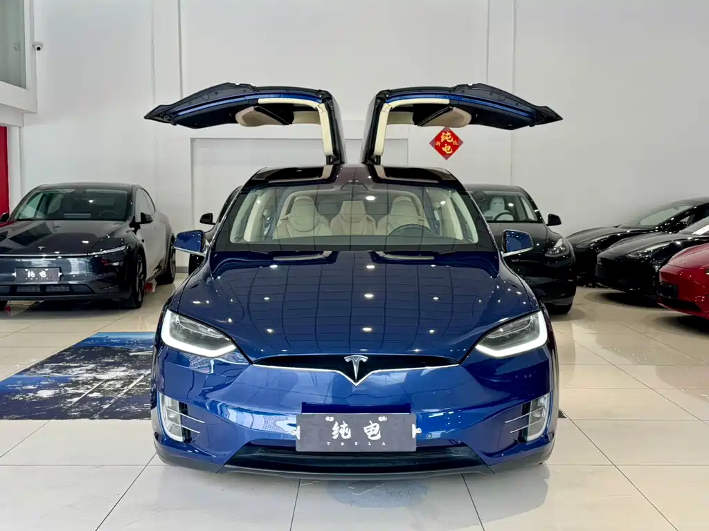 Tesla Model X 2017 — фото 2