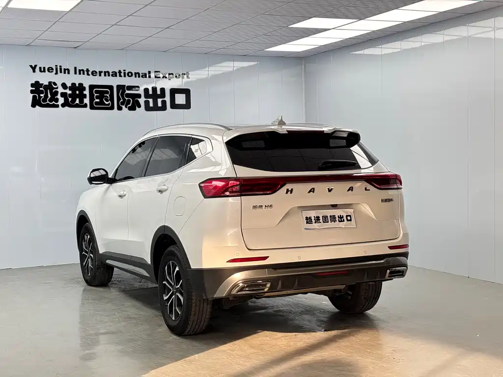 Haval H6 2023 — фото 8