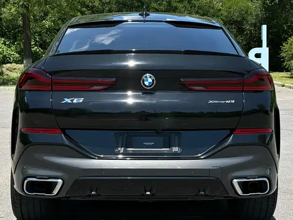 BMW X6 2021