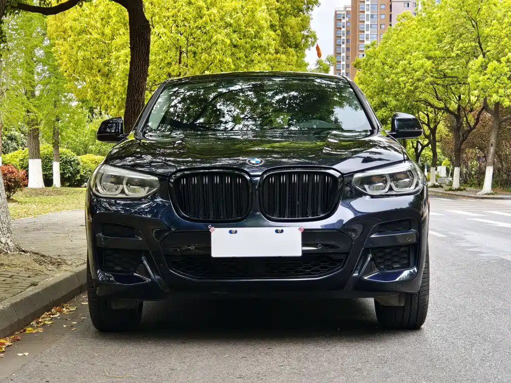 BMW X4 2020 — фото 2
