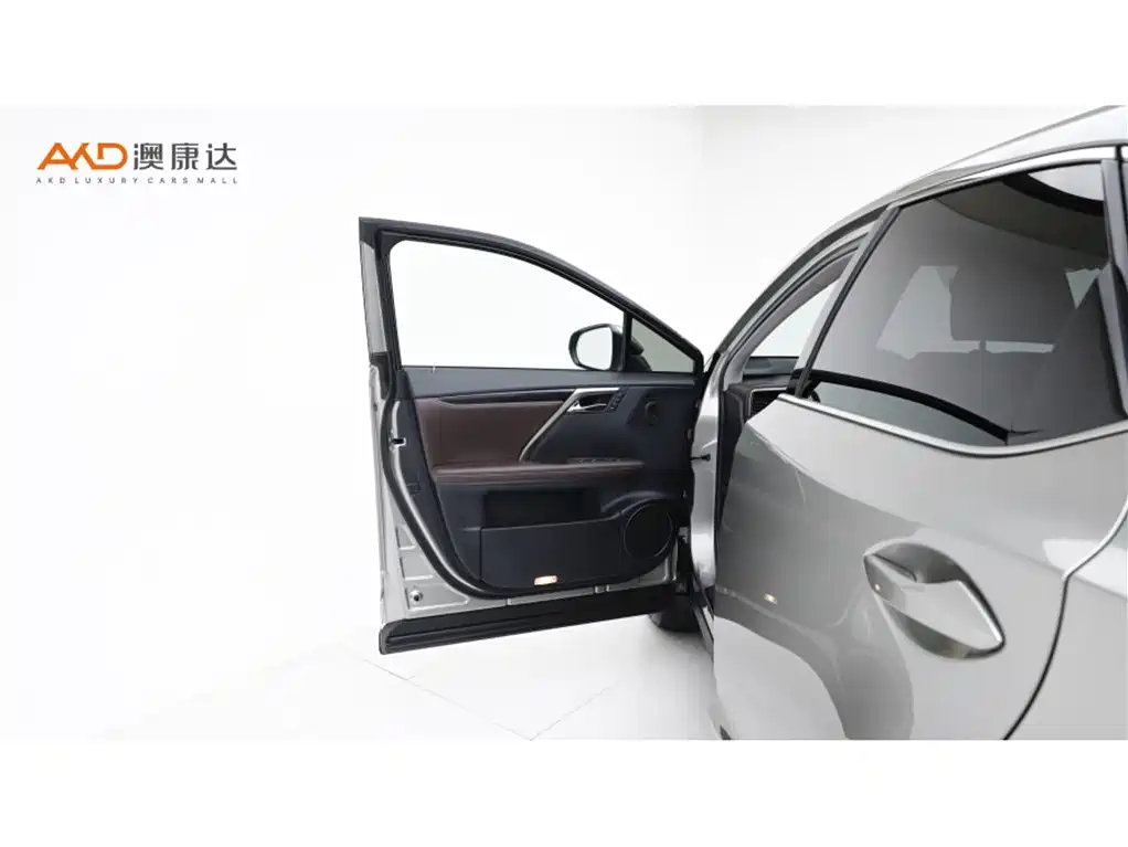 Lexus RX 2023 — фото 10