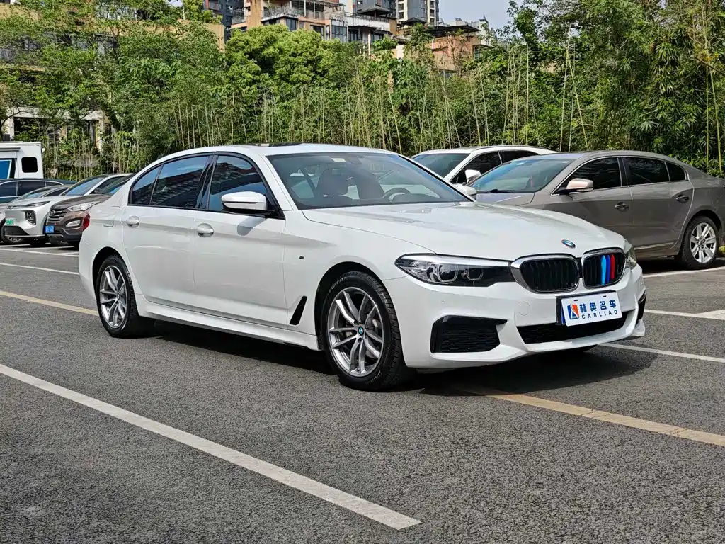 BMW 5 Series 2019 — фото 4