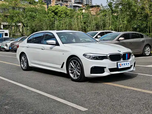 BMW 5 Series 2019
