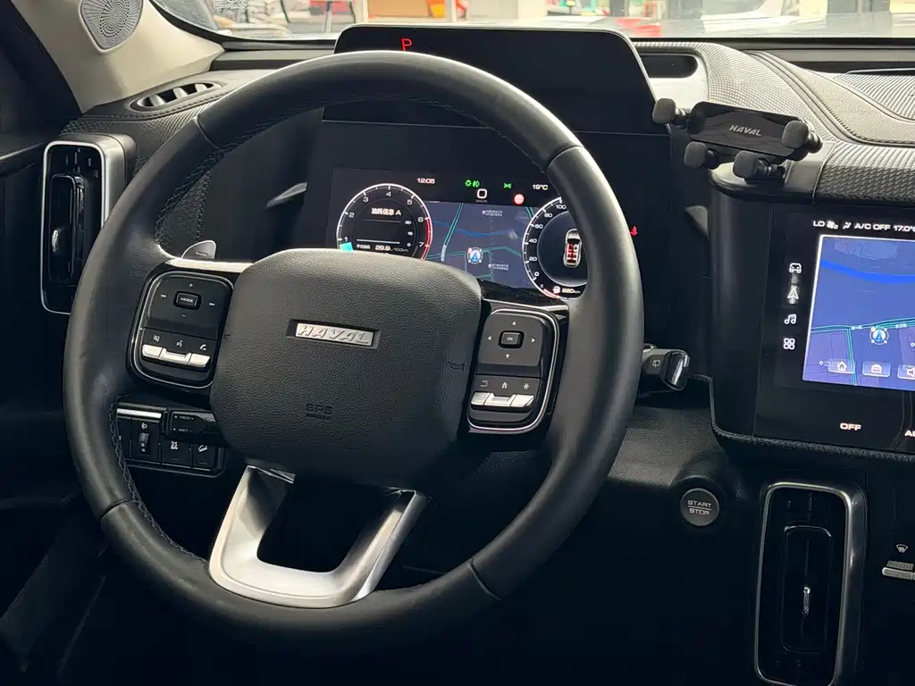 Haval Big Dog 2021 — фото 14