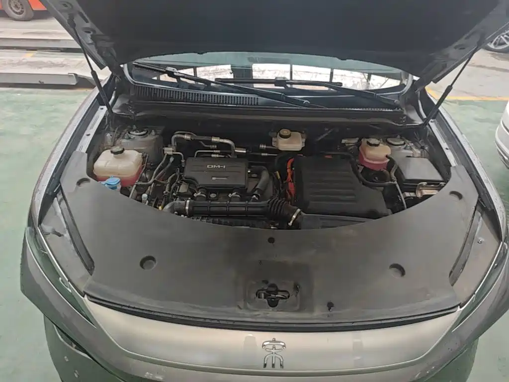 BYD Song Pro New Energy 2025 — фото 20