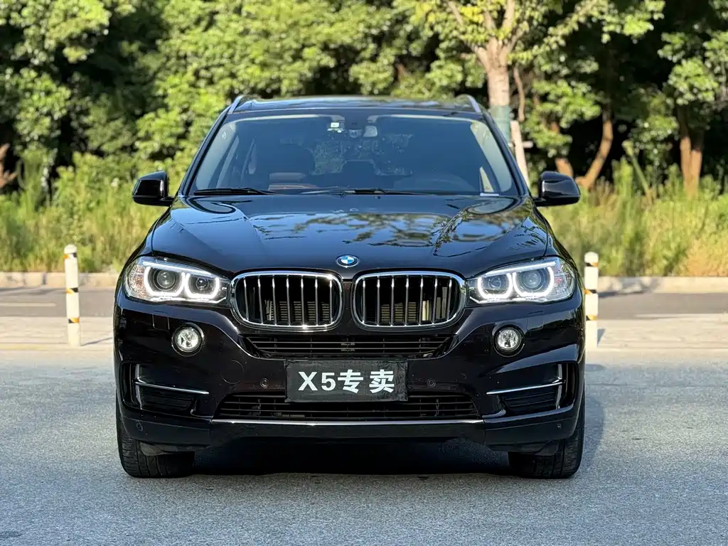 BMW X5 2019 — фото 2