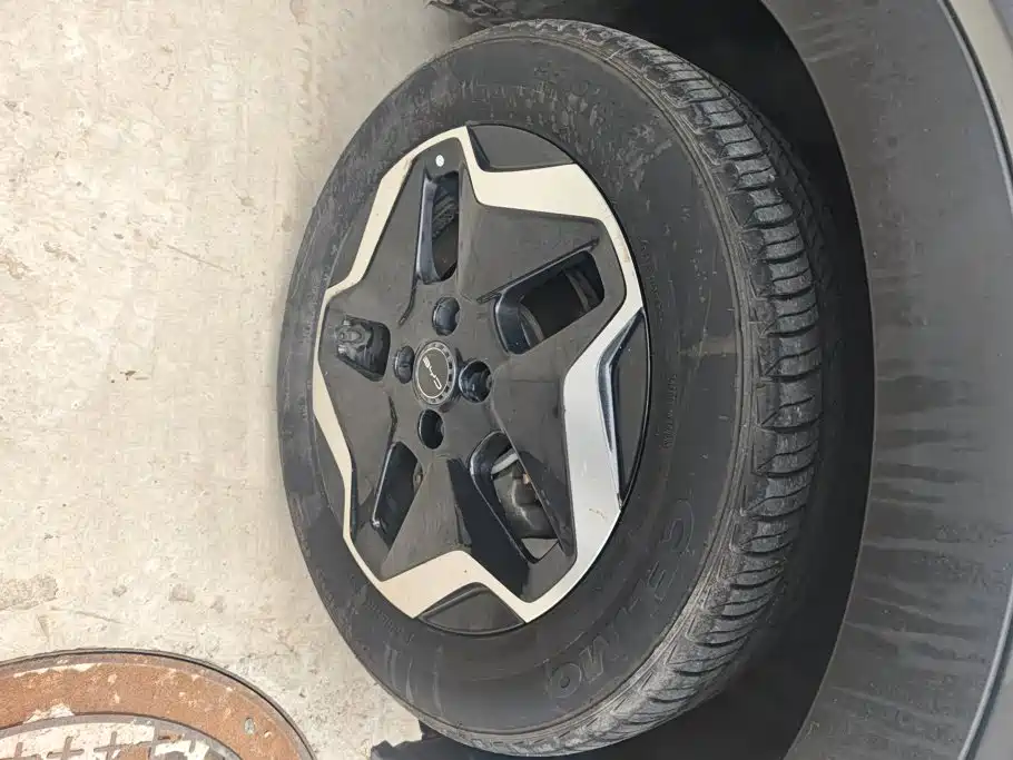 BYD Dolphin 2023