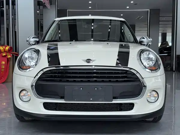 MINI 2018