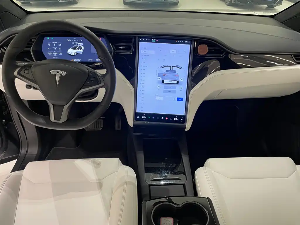 Tesla Model X 2019 — фото 8