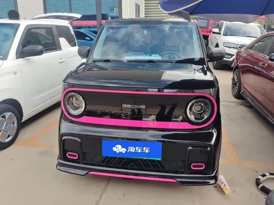Geely Galaxy Panda 2024