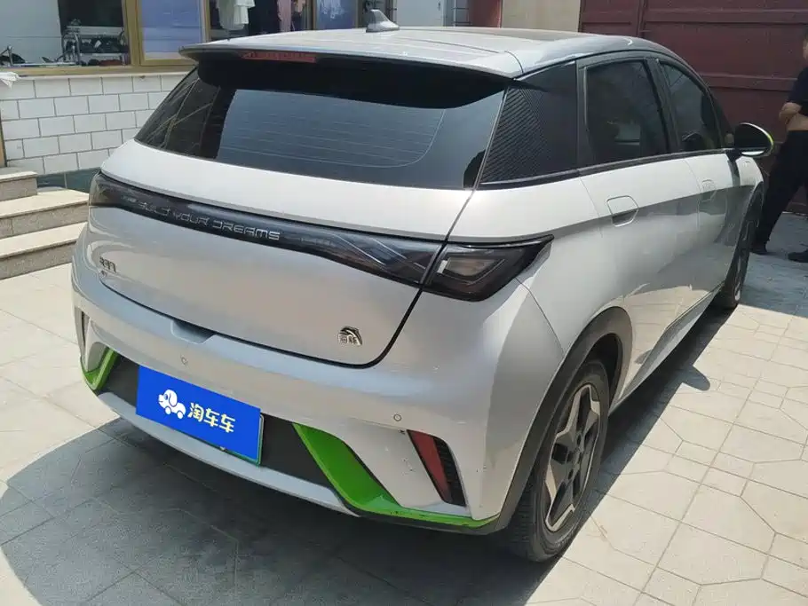 BYD Dolphin 2022