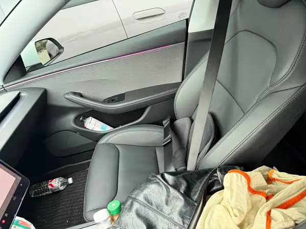 Tesla Model 3 2025