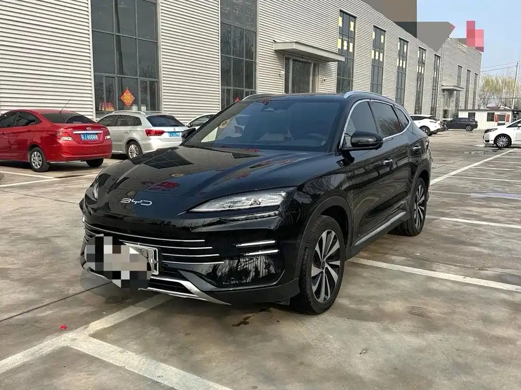 BYD Song PLUS New Energy 2024 — фото 1
