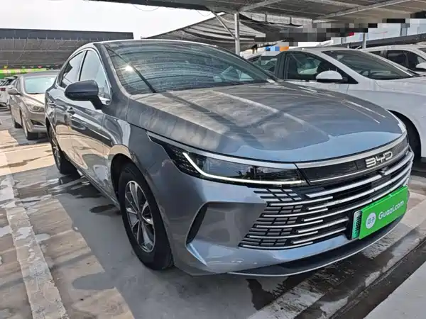 BYD Destroyer 05 2024