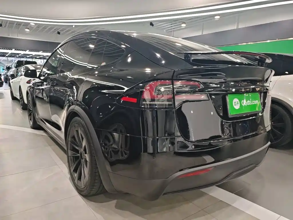 Tesla Model X 2023 — фото 5