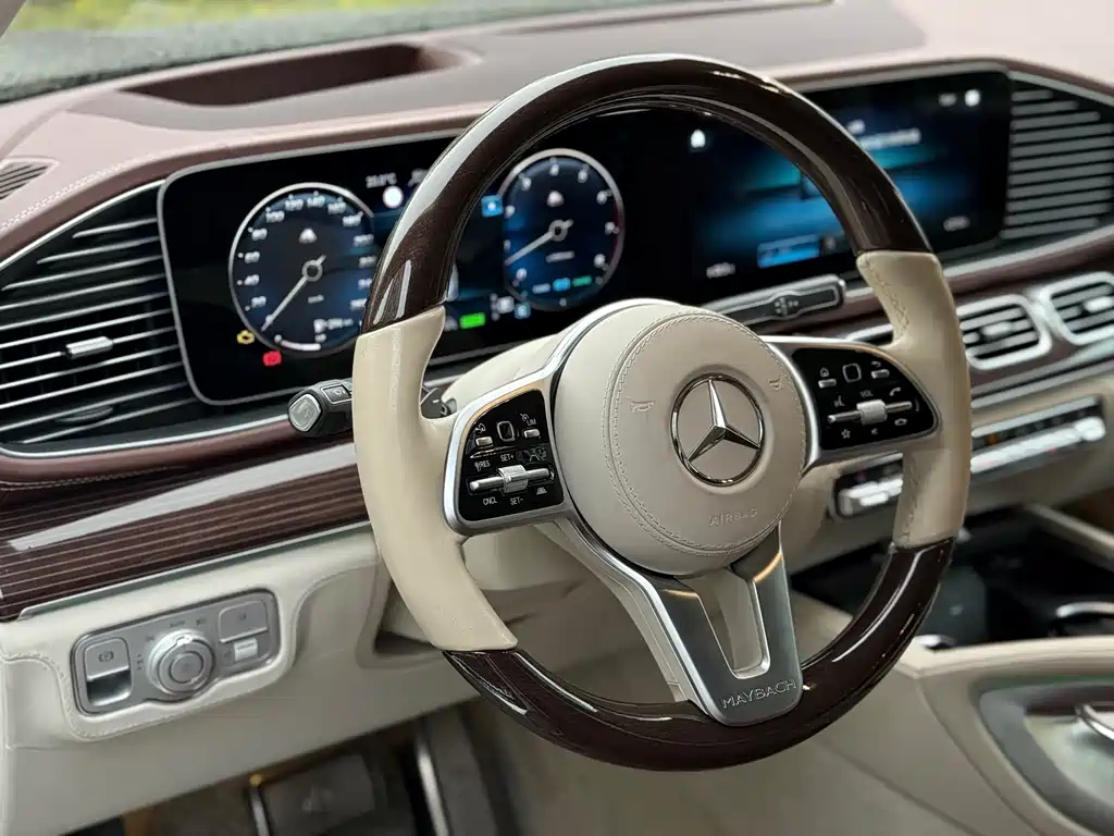 Mercedes-Benz Maybach GLS 2021 — фото 5
