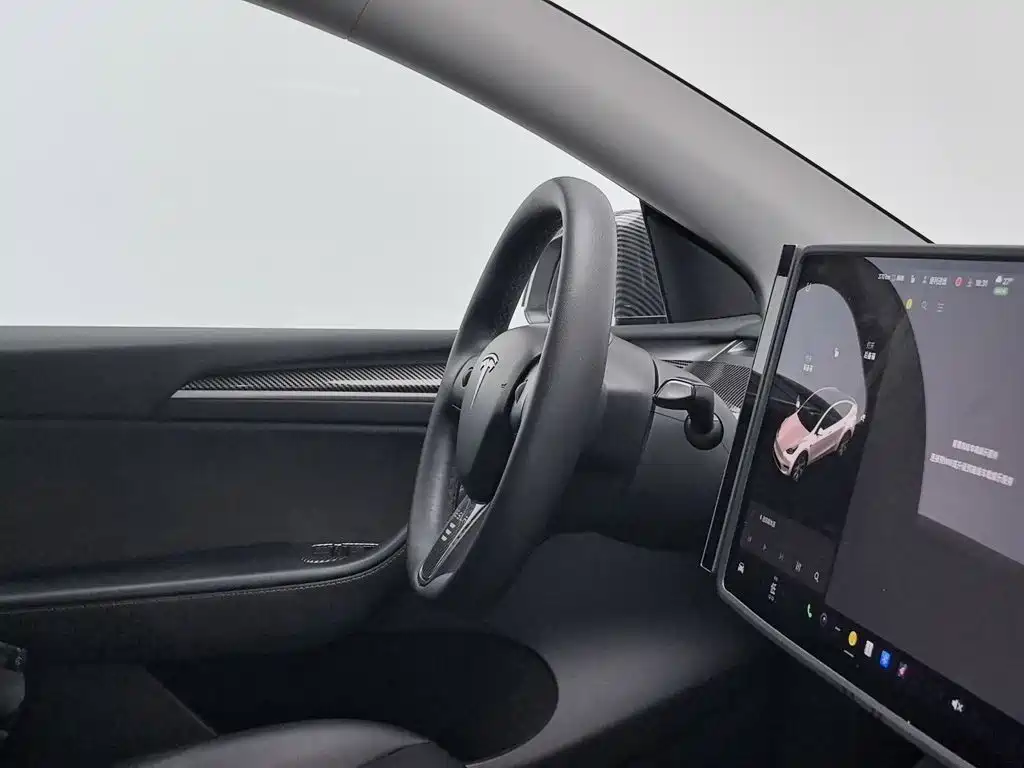 Tesla Model Y 2021 — фото 22