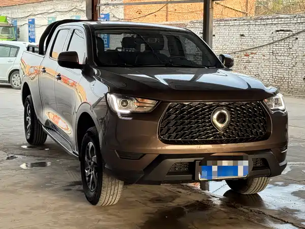 Great Wall Poer 2021