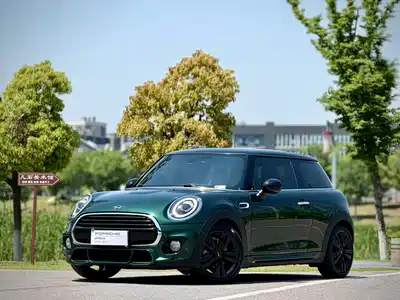 MINI MINI 2019