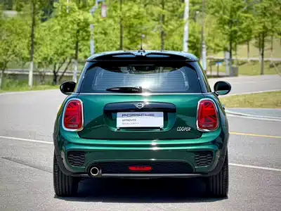 MINI MINI 2019