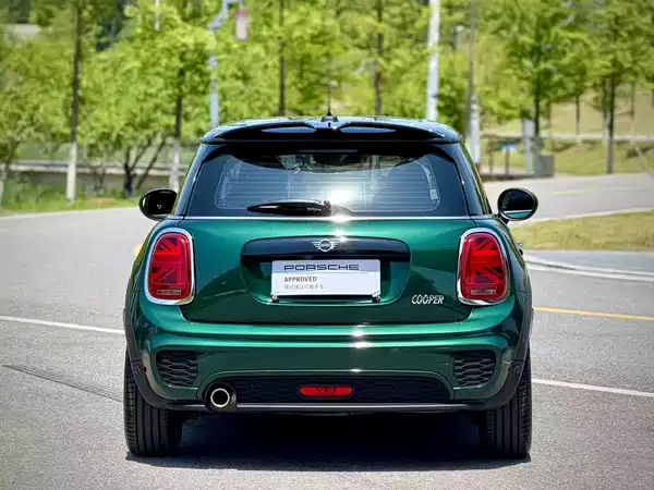 MINI 2019